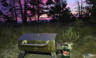 Brandt L.'s photo of a dispersed camping area at Government Gully Rd - Dispersed near Laramie, WY