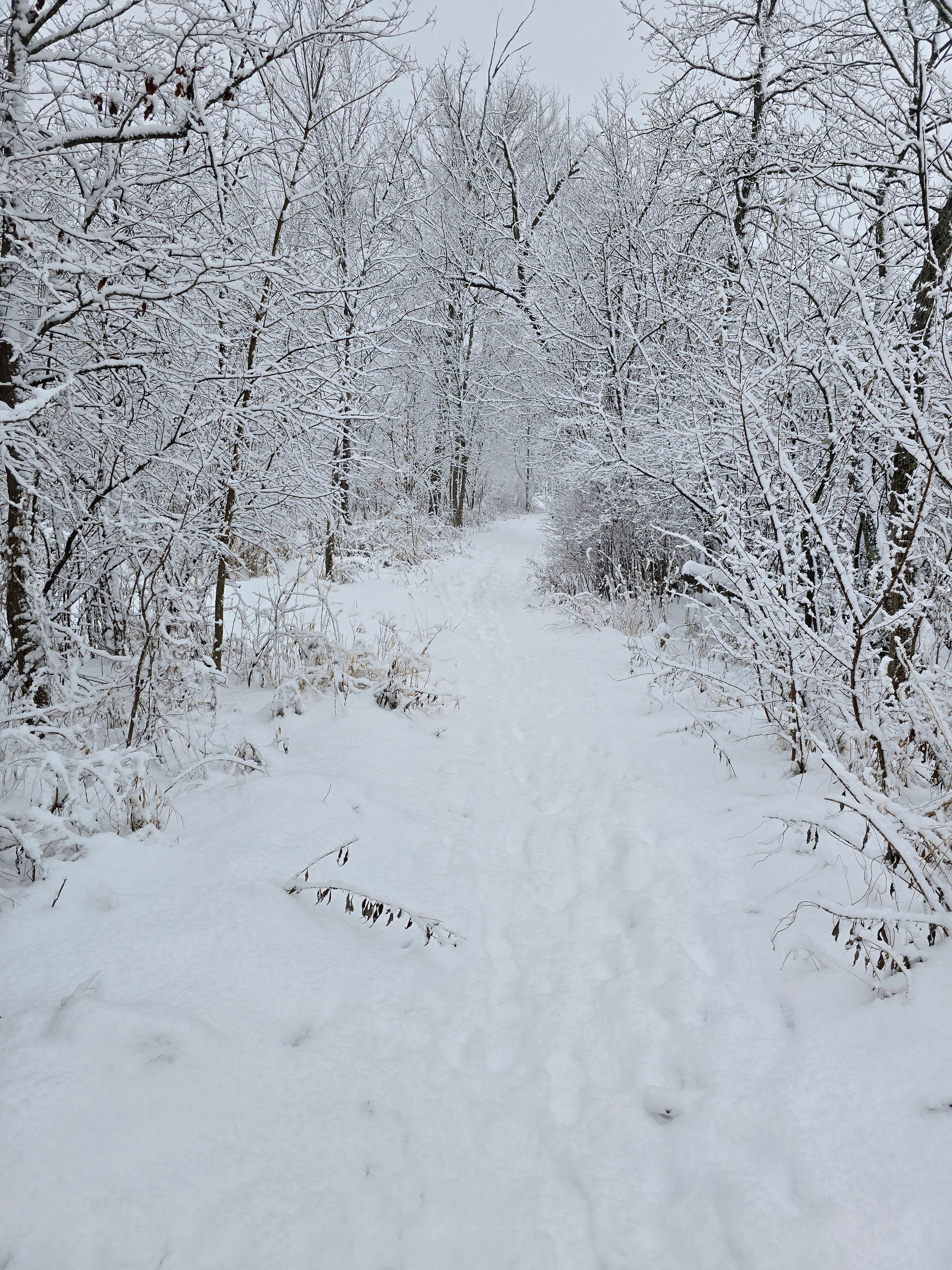 Camper submitted image from Governor Dodge State Park Equestrian Campground — Governor Dodge State Park - 2