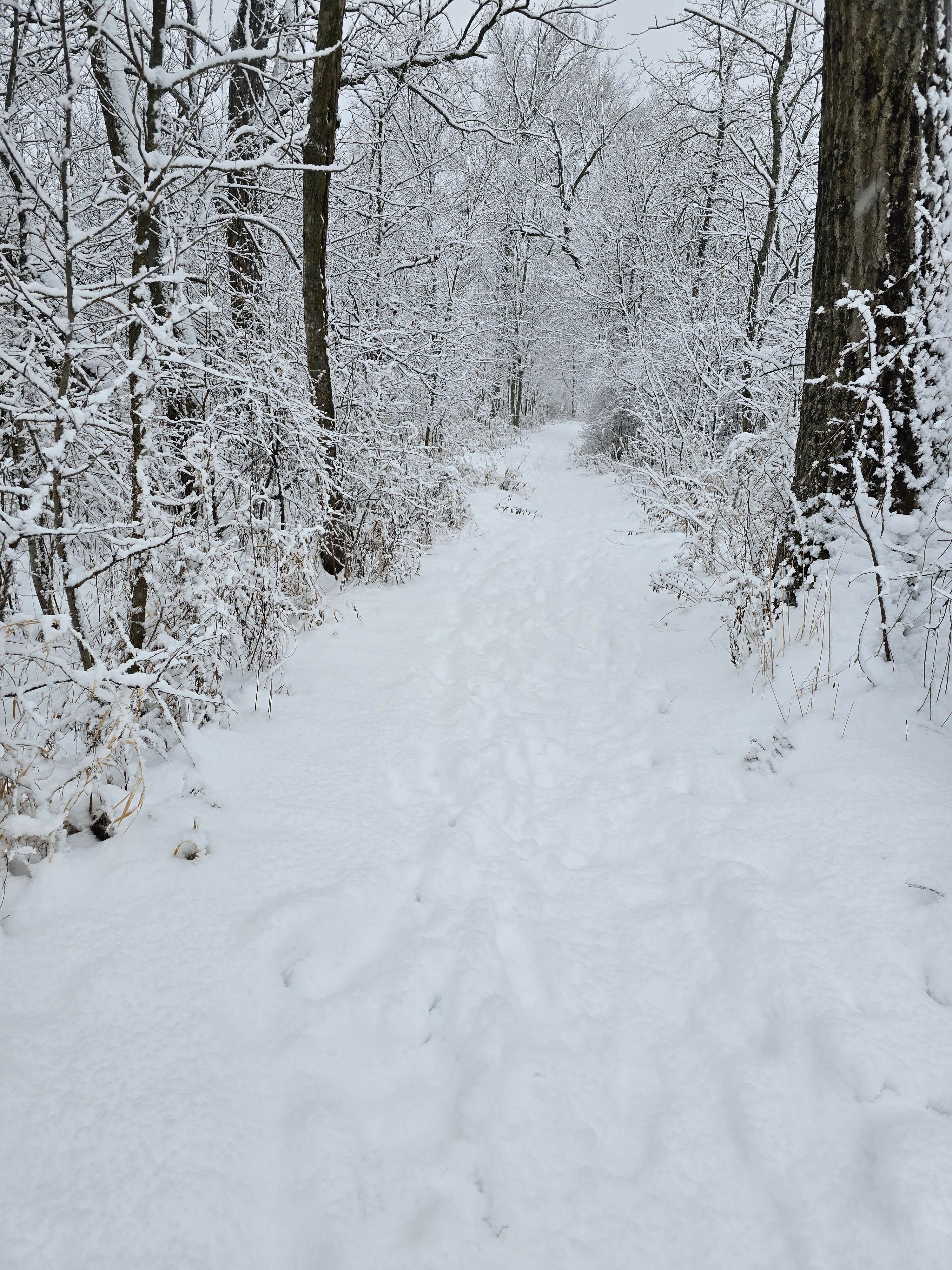 Camper-submitted photo at Governor Dodge State Park Equestrian Campground — Governor Dodge State Park near Reedsburg, WI