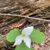 Review photo of Governor Thompson State Park Campground by Scott D., June 3, 2025