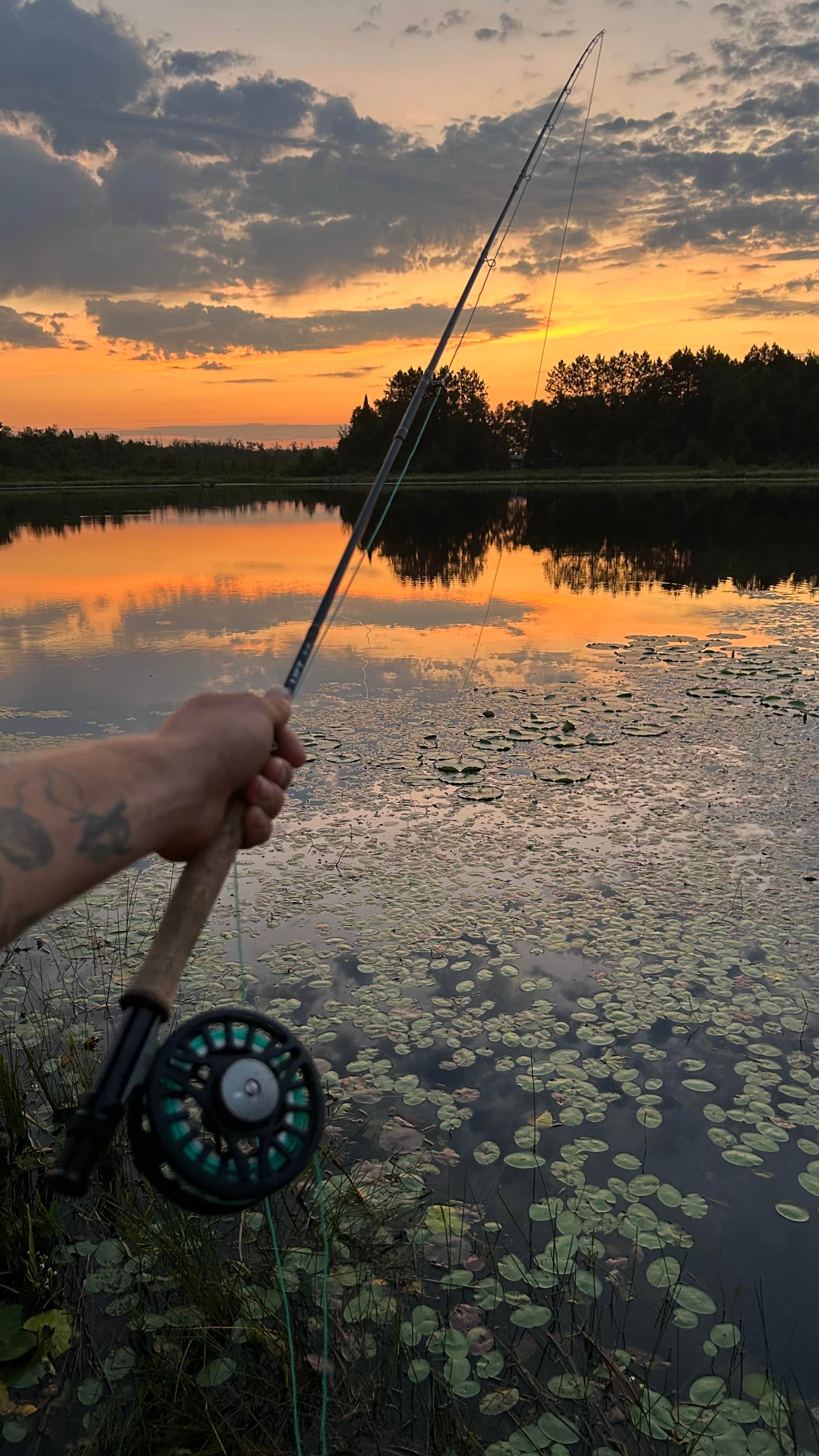 Camper-submitted photo at Grace Lake Road Dispersed near Hinckley, MN