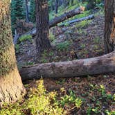 Review photo of Grand Canyon East Rim Camping by Jason , September 10, 2024