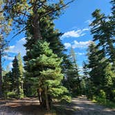 Review photo of Grand Canyon East Rim Camping by Jason , September 10, 2024