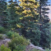 Review photo of Grand Canyon East Rim Camping by Jason , September 10, 2024