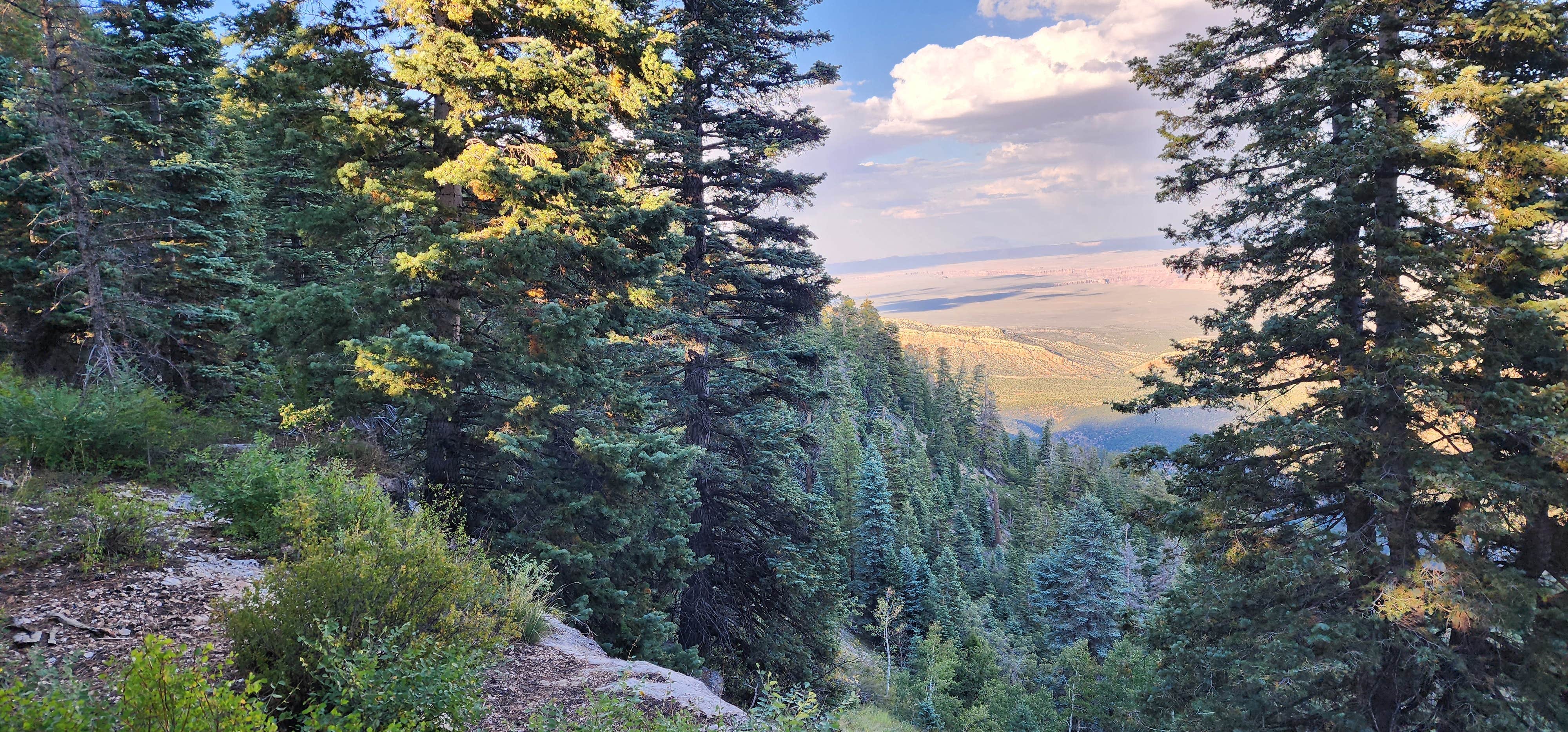 Camper submitted image from Grand Canyon East Rim Camping - 2