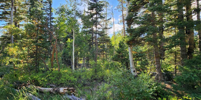 Camper submitted image from Grand Canyon East Rim Camping