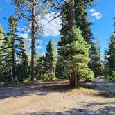 Review photo of Grand Canyon East Rim Camping by Jason , September 10, 2024