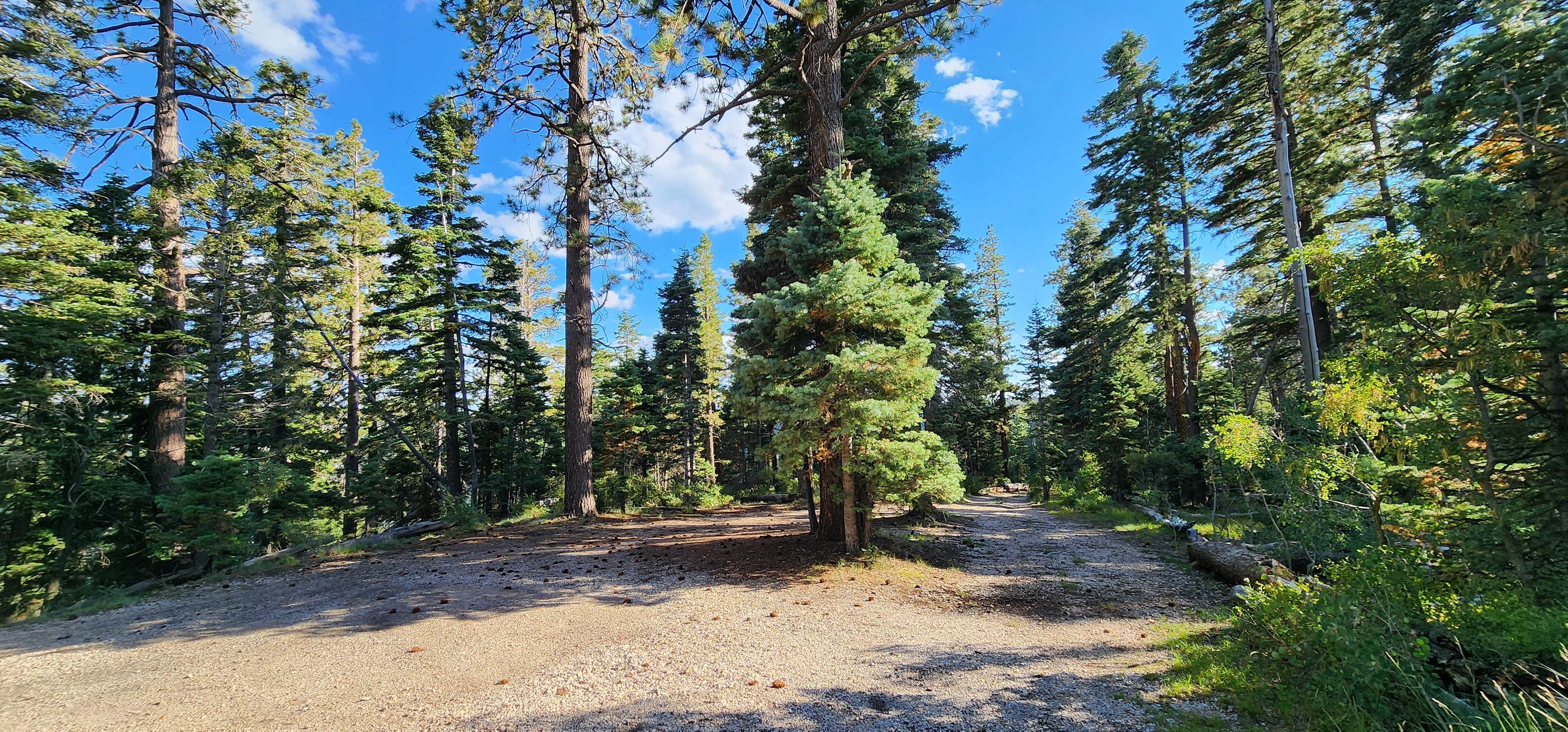 Camper submitted image from Grand Canyon East Rim Camping - 3