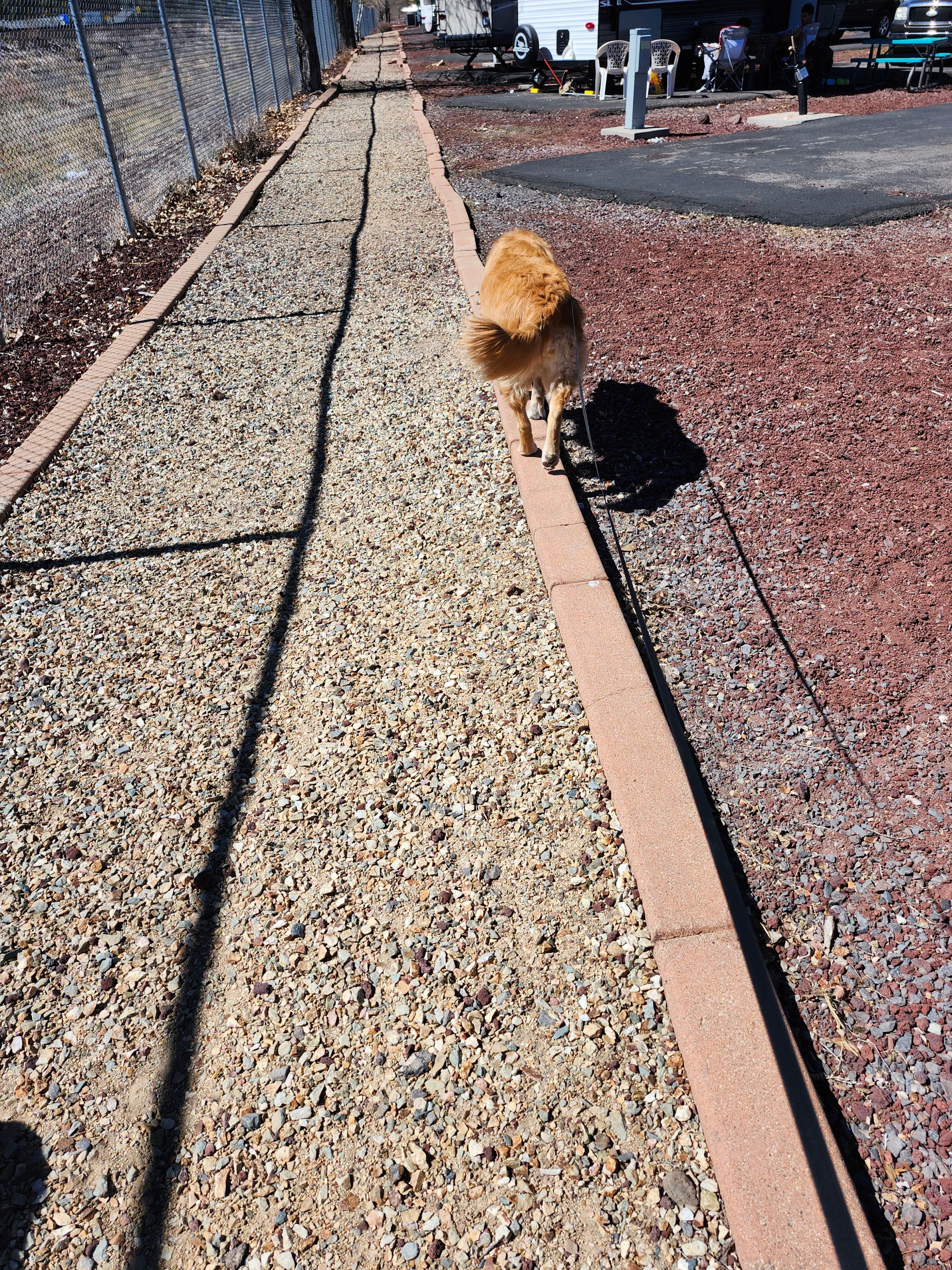 Heidi J.'s photo of camping with pets at Grand Canyon Railway RV Park near Williams, AZ