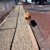 Review photo of Grand Canyon Railway RV Park by Heidi J., May 2, 2026