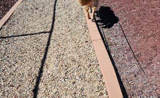Heidi J.'s photo of camping with pets at Grand Canyon Railway RV Park near Kaibab National Forest