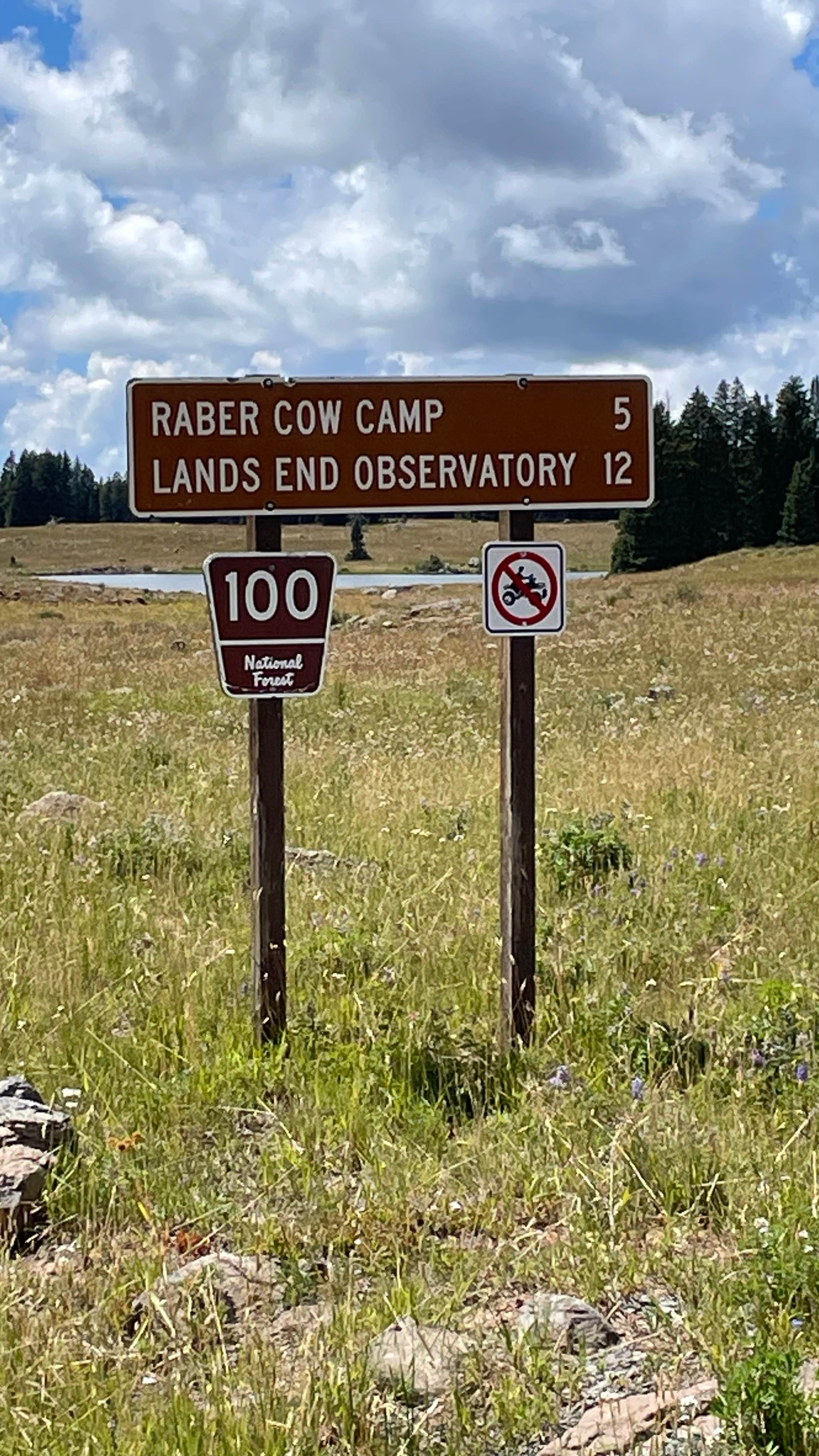 Camper-submitted photo at Grand Mesa Colorado FSR 100 near Collbran, CO