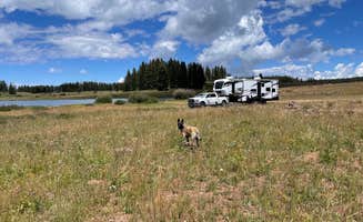 Brian E.'s photo of camping with pets at Grand Mesa Colorado FSR 100 in Colorado
