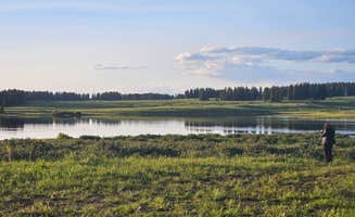 Alisa H.'s photo of a dispersed camping area at Grand Mesa FS 105 Dispersed Camping near Grand Junction, CO