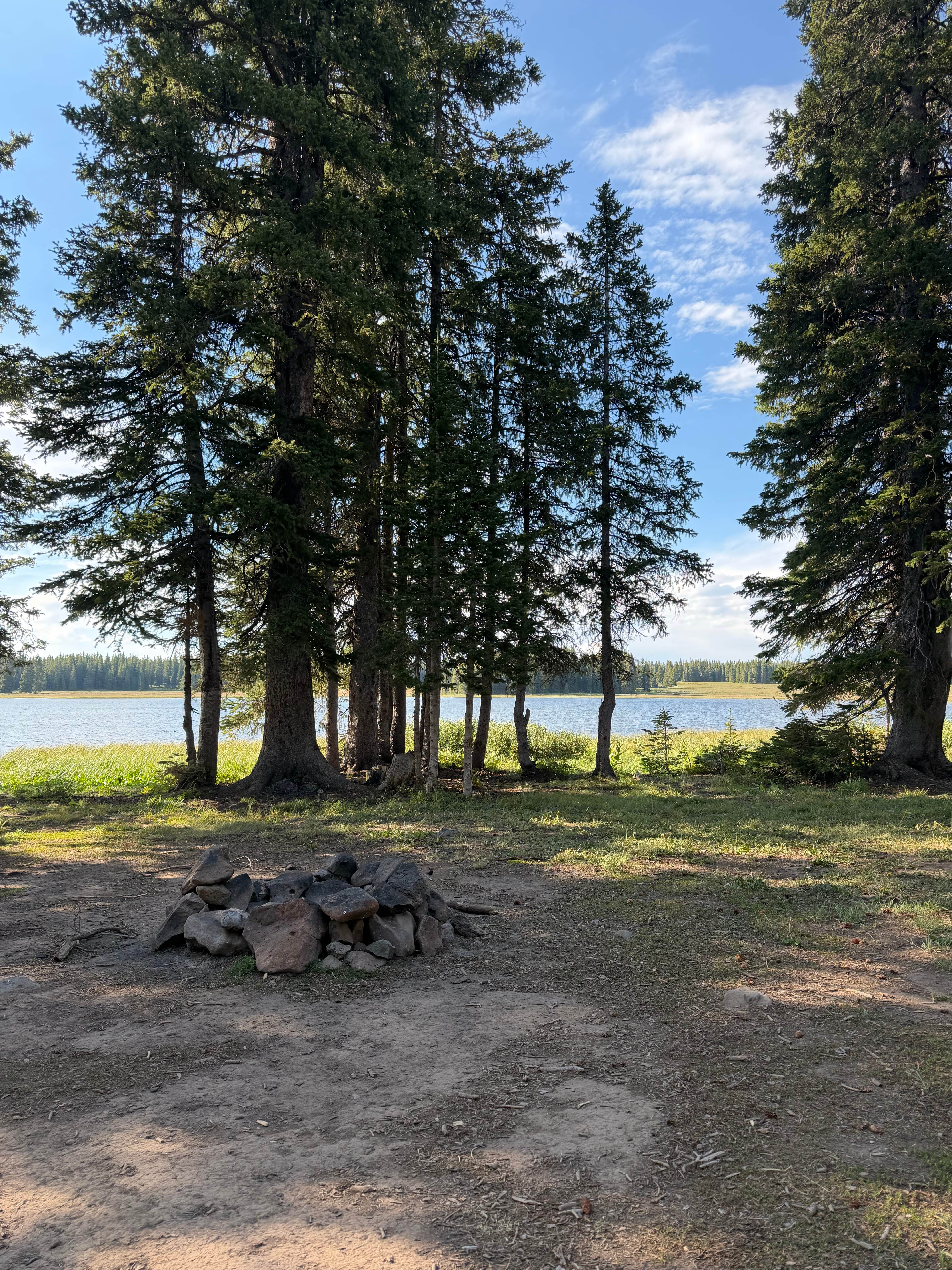 Camper-submitted photo at Grand Mesa FS 105 Dispersed Camping near Hotchkiss, CO