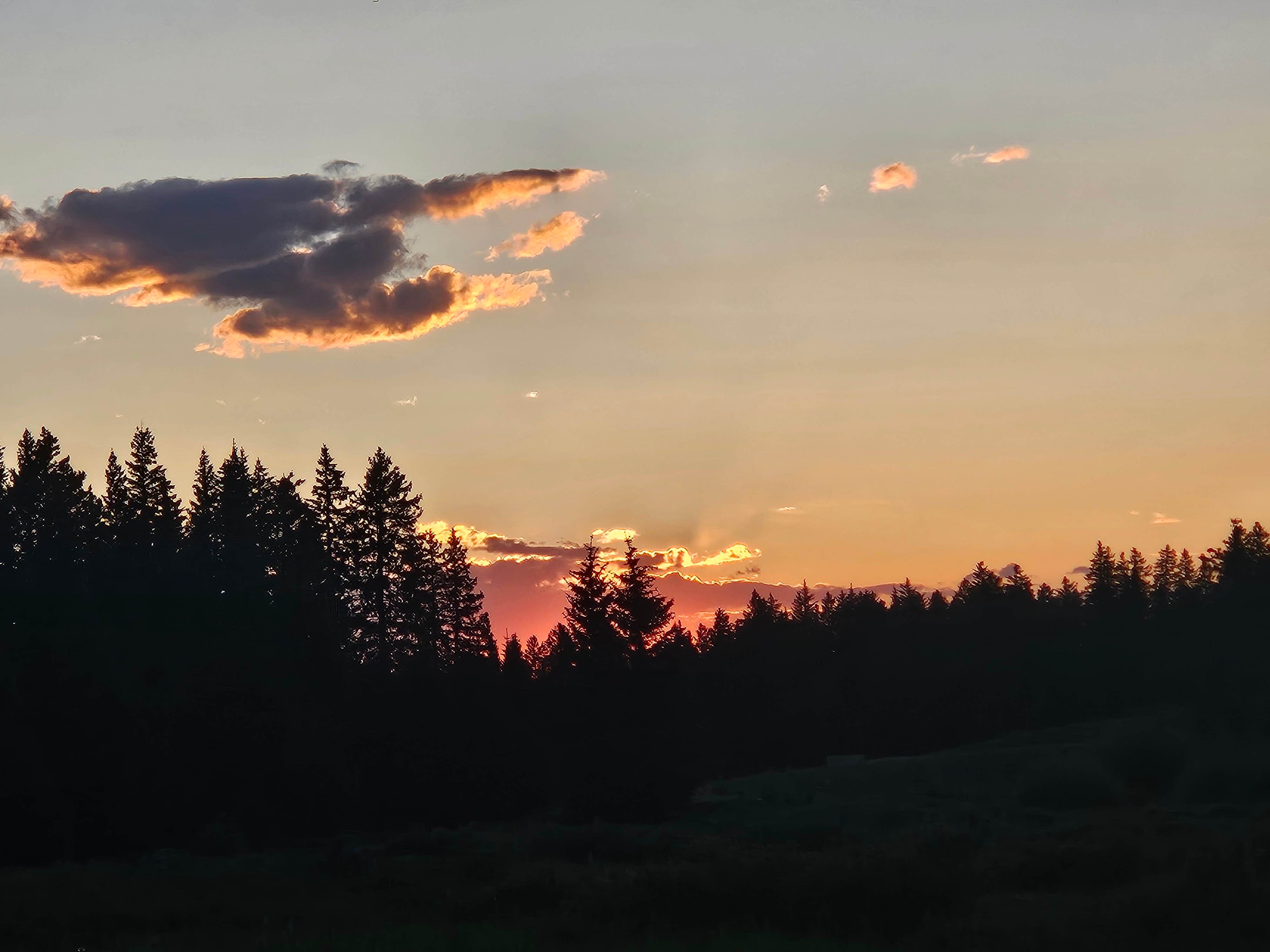 Camper submitted image from Grand Mesa FS 105 Dispersed Camping - 1