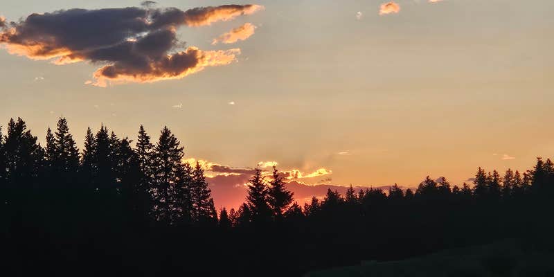 Camper submitted image from Grand Mesa FS 105 Dispersed Camping