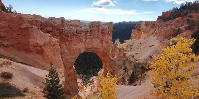 Camper submitted image from Grand Plateau RV Resort