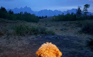 Paul L.'s photo of camping with pets at Grand Teton Lookout near Grand Teton National Park