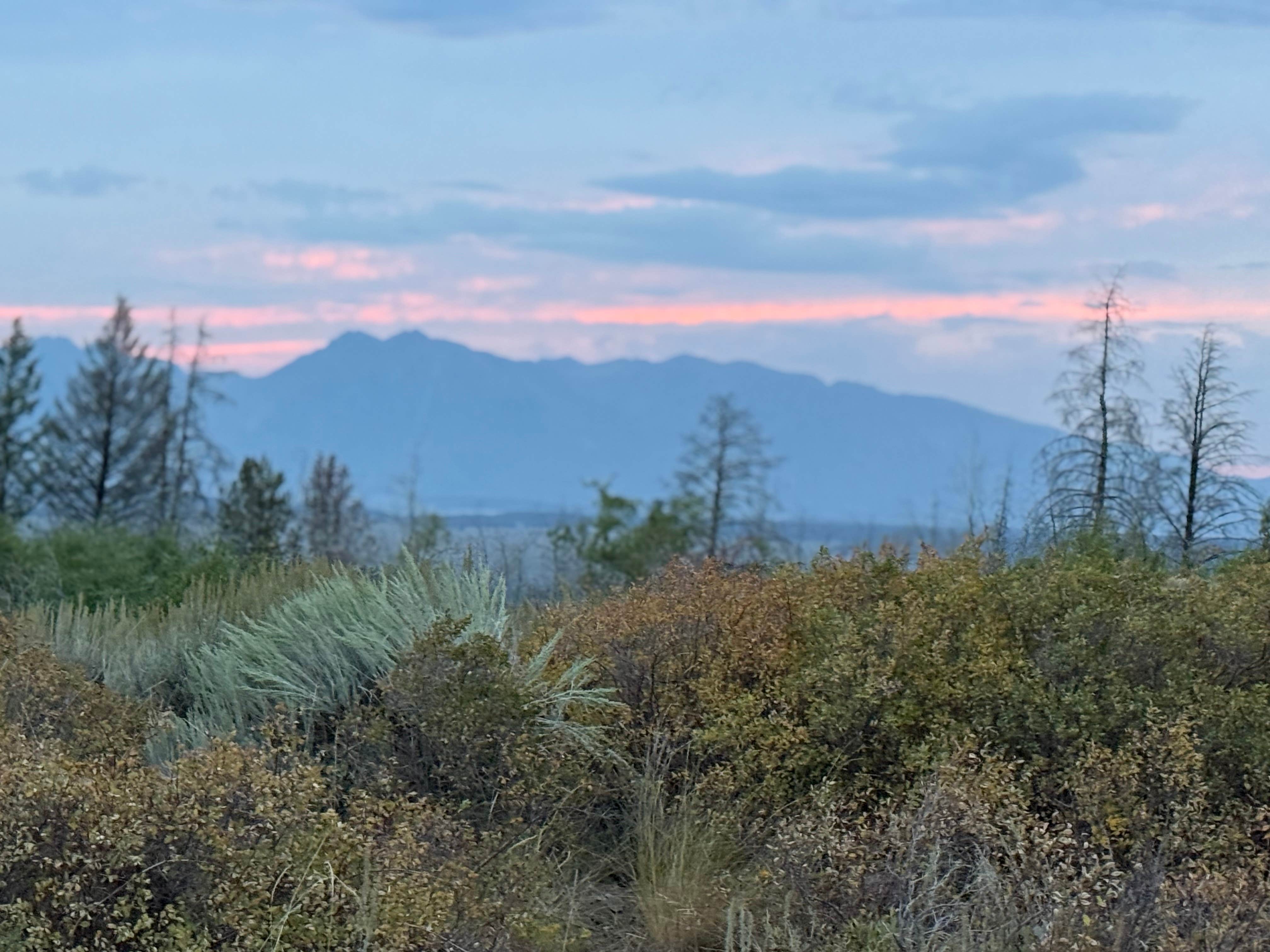 Camper submitted image from Grand Teton Lookout - 1