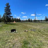 Review photo of Grand Teton Lookout by Makenzie S., June 16, 2026