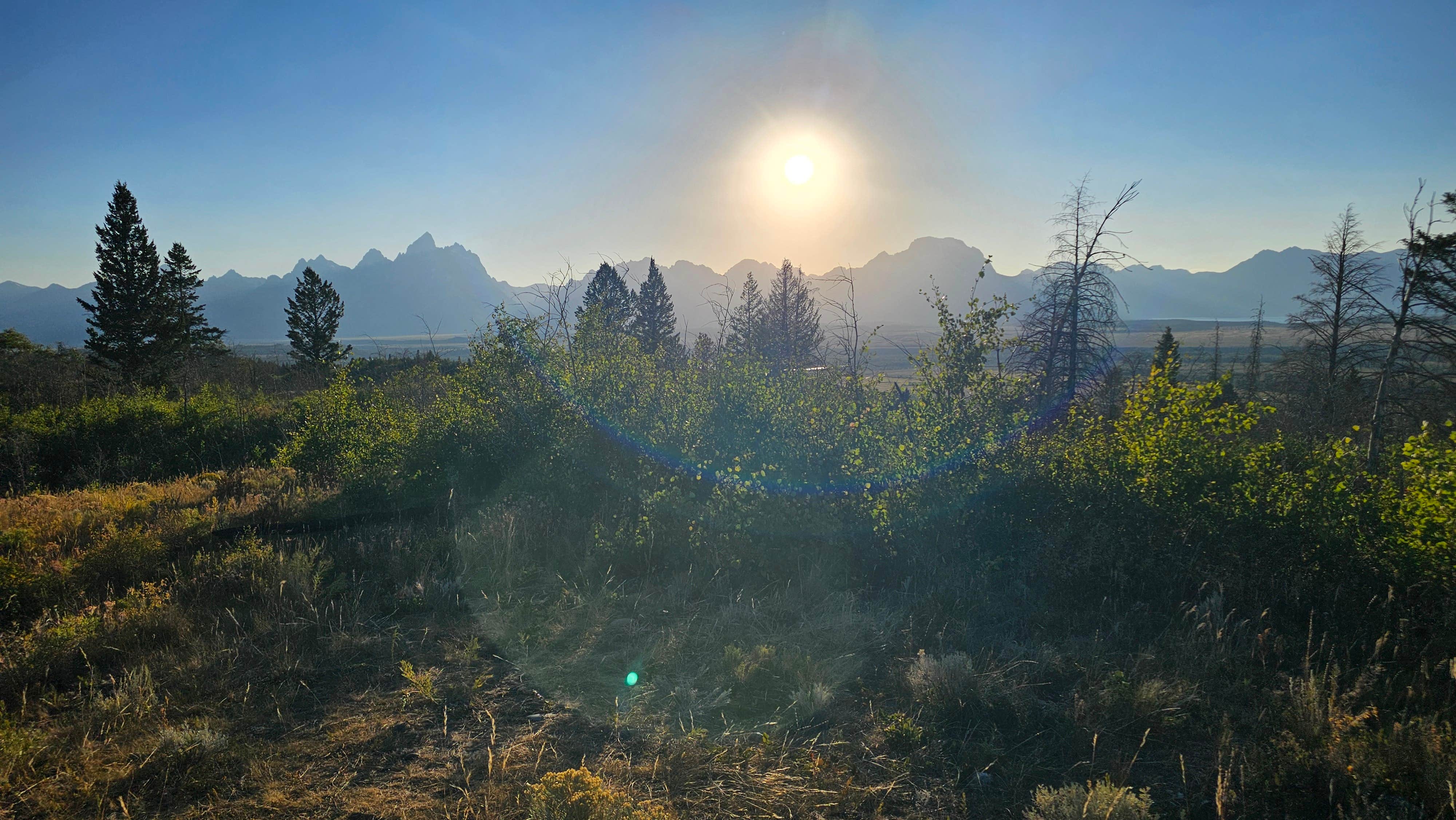 Isaac P.'s photo of a dispersed camping area at Grand Teton Lookout near Grand Teton National Park