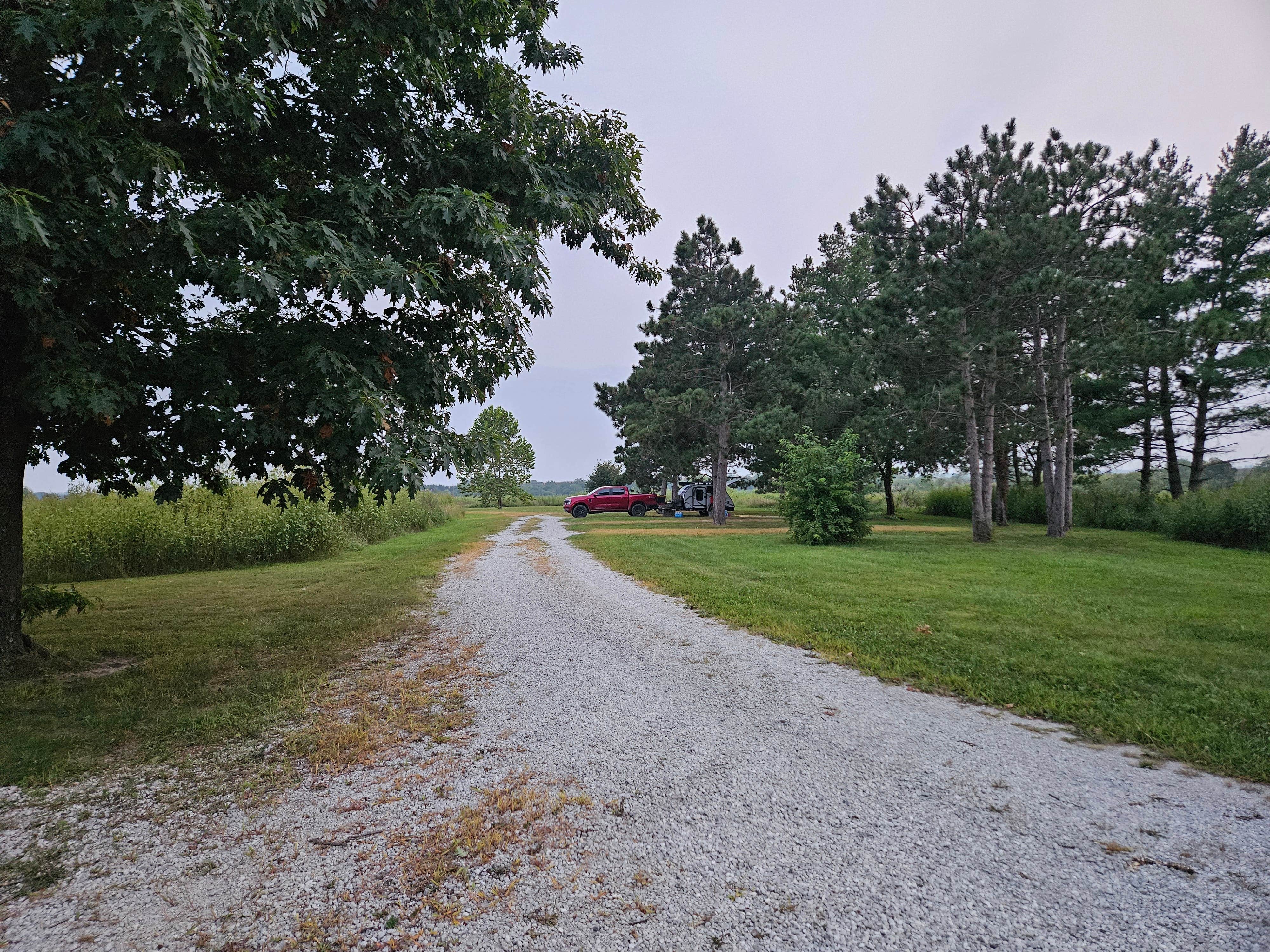 Camper submitted image from Grand Trace State Forest - 5