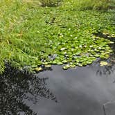 Review photo of Grande Hot Springs RV Resort by Cheryl S., August 5, 2025