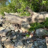 Review photo of Grandfather Campground by Beth D., May 3, 2026