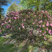 Review photo of Grandfather Campground by Beth D., May 3, 2026