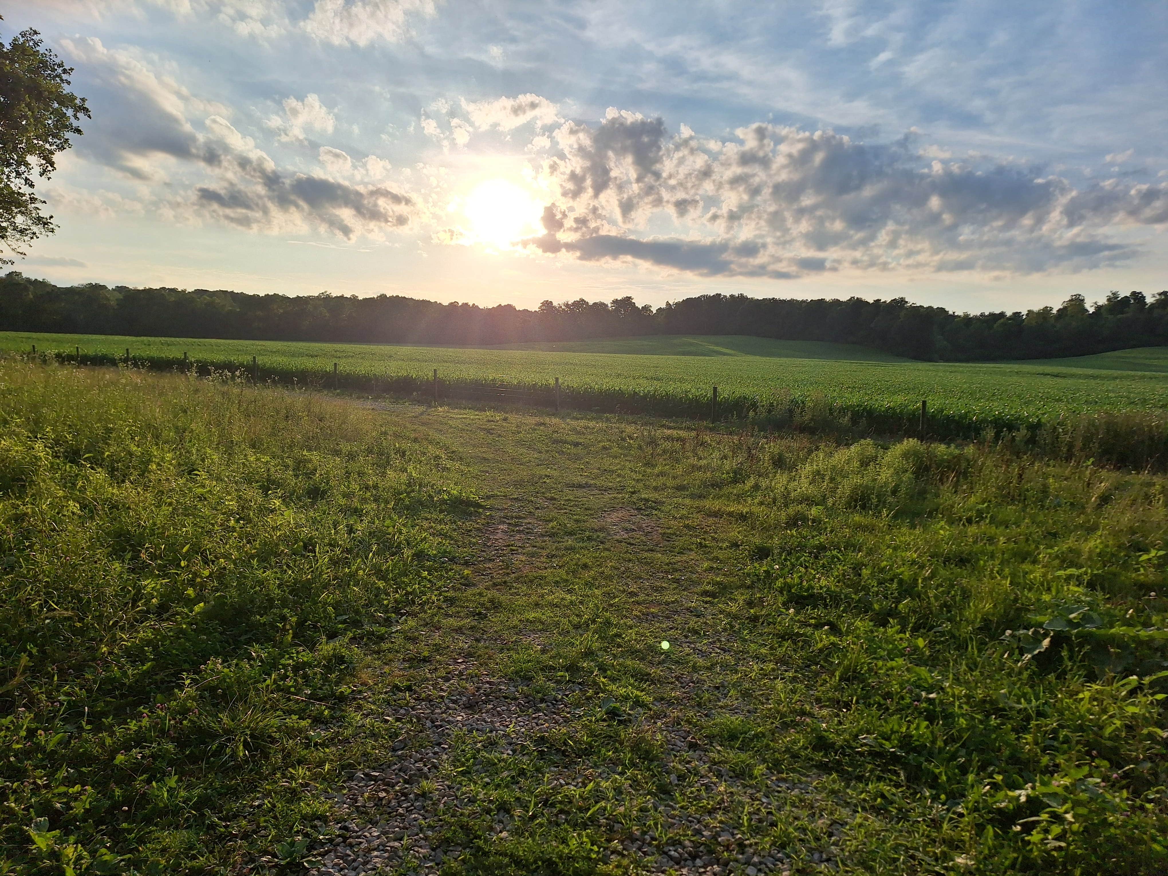 Camper-submitted photo at Grandpas Farm Camp Ground near Richmond, IN