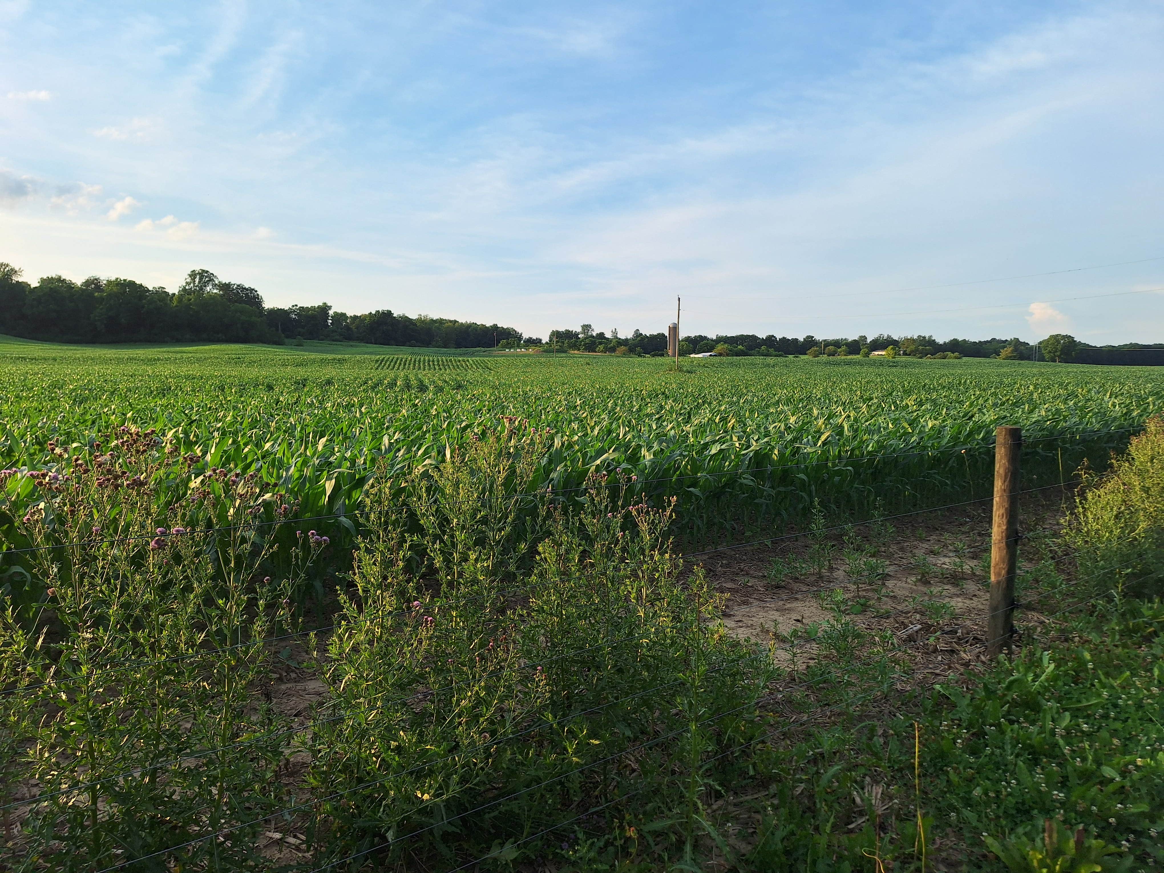 Camper-submitted photo at Grandpas Farm Camp Ground near Richmond, IN