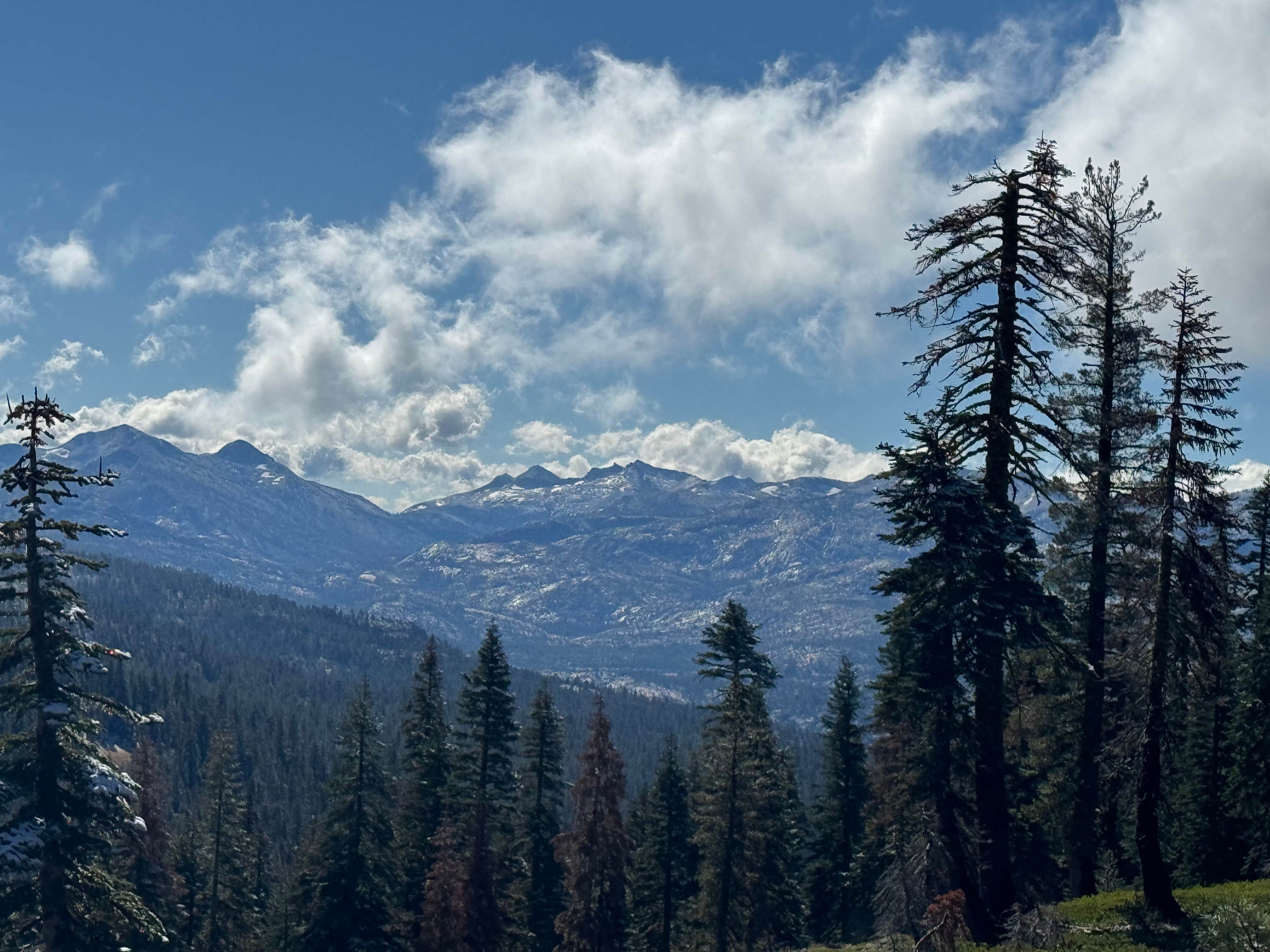 Camper-submitted photo at Granite Chief Wilderness - Dispersed near Colfax, CA