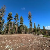 Review photo of Granite Chief Wilderness - Dispersed by Jakey and Alex L., October 12, 2023