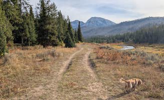 David M.'s photo of camping with pets at Granite Creek Road Dispersed Camping near Bridger-Teton National Forest