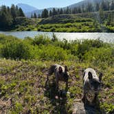 Review photo of Granite Creek Road Dispersed Camping by Peter P., July 12, 2025