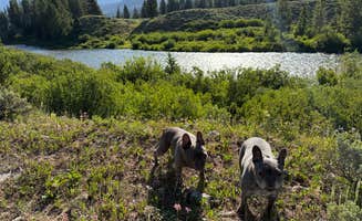 Peter P.'s photo of a dispersed camping area at Granite Creek Road Dispersed Camping near Daniel, WY