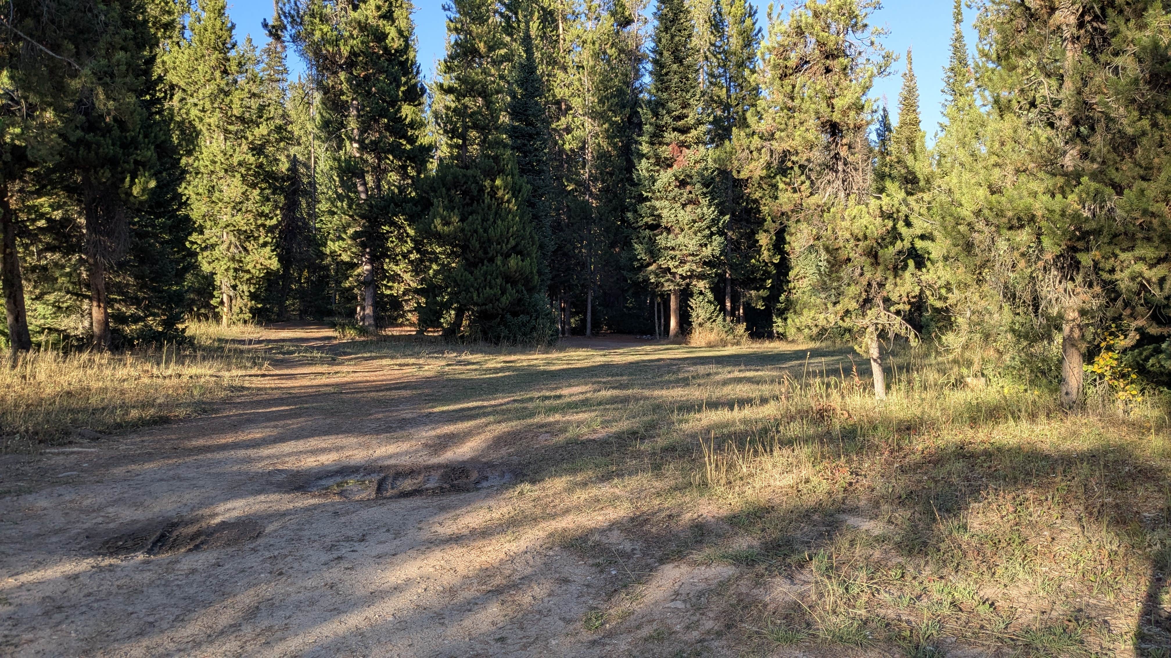 Camper submitted image from Granite Creek Road Dispersed Camping - 1