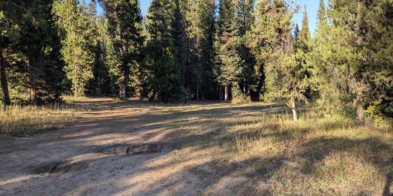 Camper submitted image from Granite Creek Road Dispersed Camping