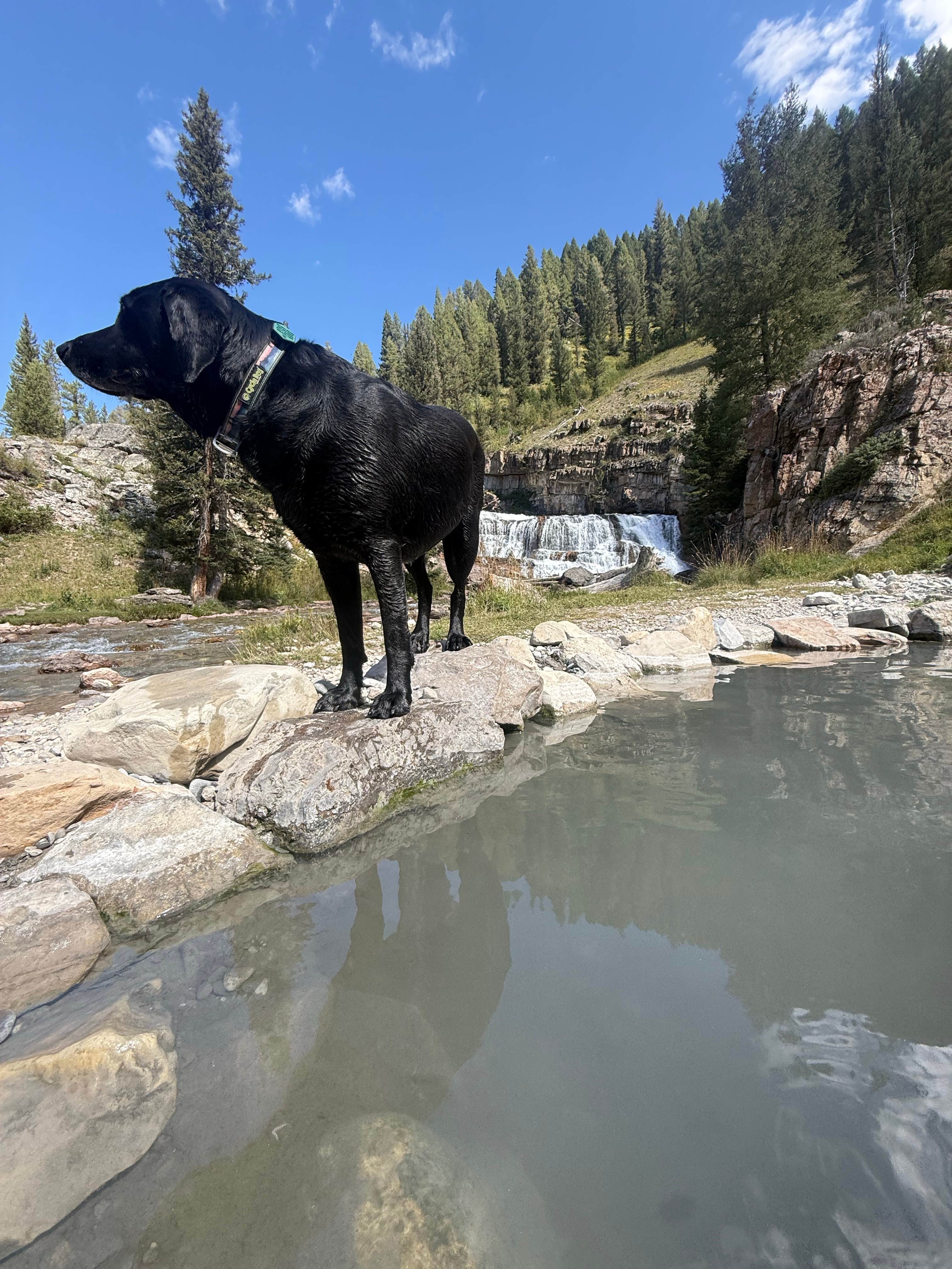 Camper-submitted photo at Granite Creek Road Dispersed Camping near Bondurant, WY