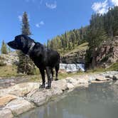 Review photo of Granite Creek Road Dispersed Camping by shawna B., September 13, 2026