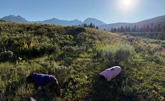 Peter P.'s photo of camping with pets at Granite Creek Road Dispersed Camping near Dubois, WY