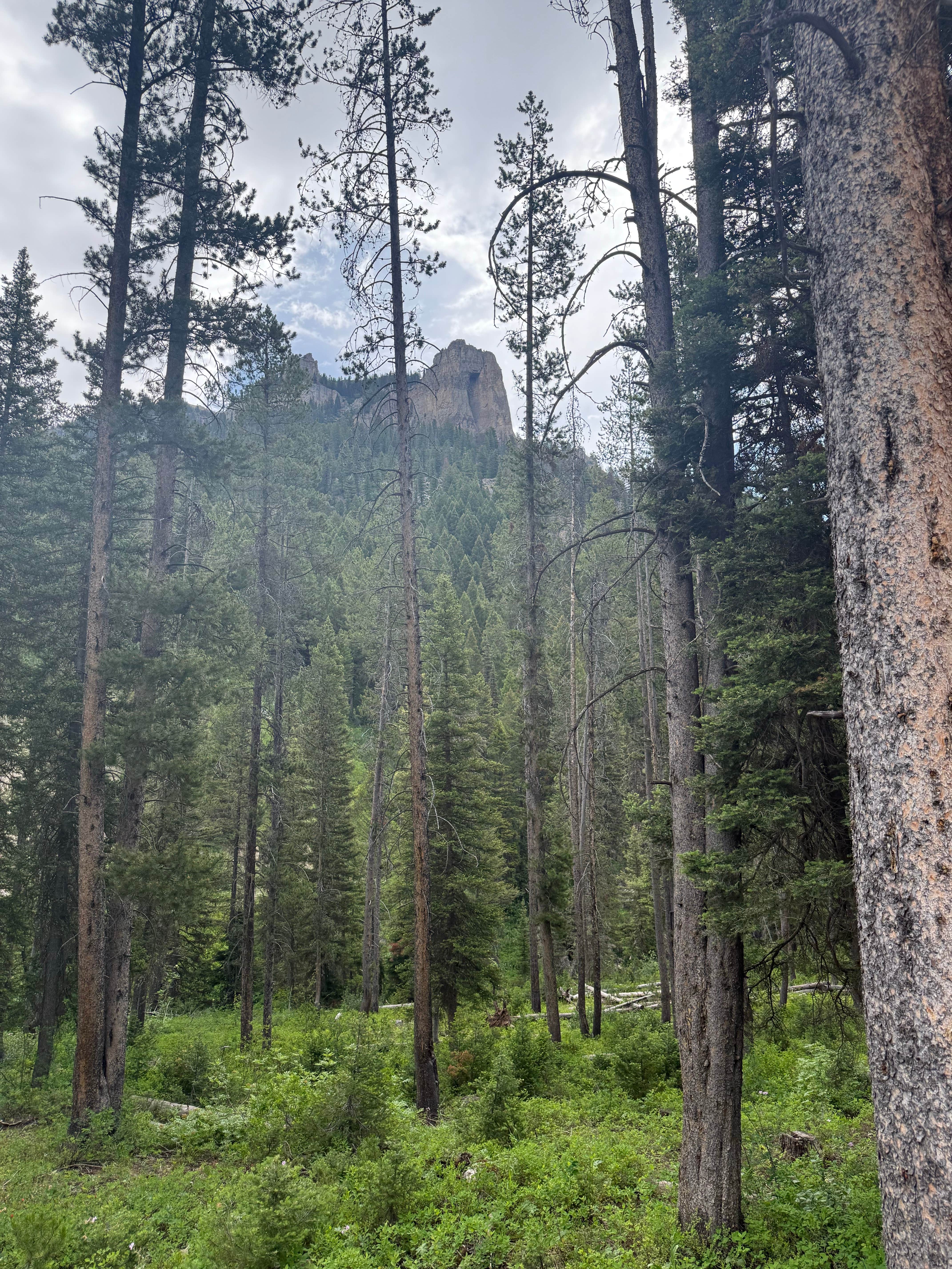 Camper-submitted photo at Granite Creek Trailhead near Bridger-Teton National Forest