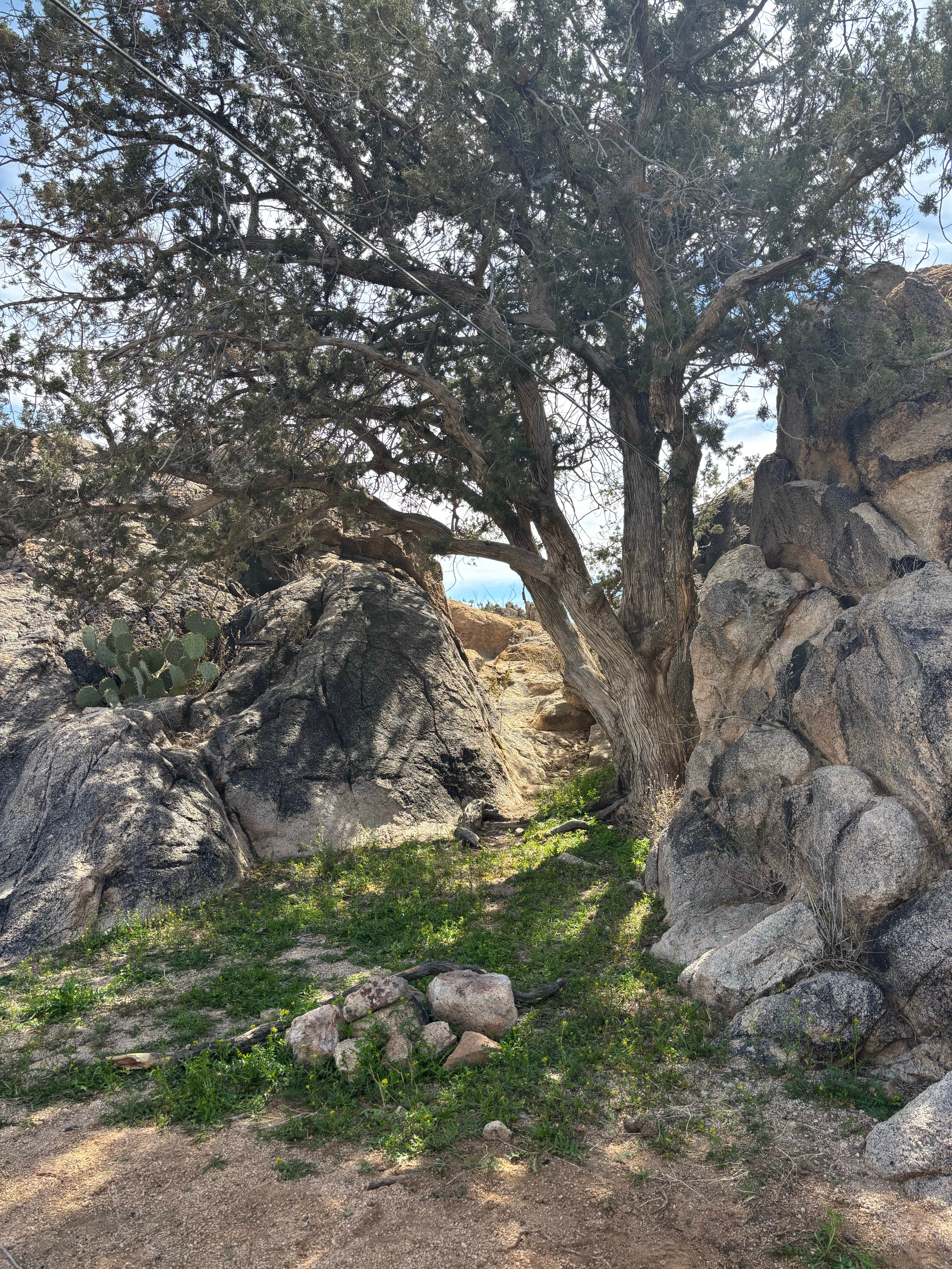 Camper-submitted photo at Granite Gap near Animas, NM