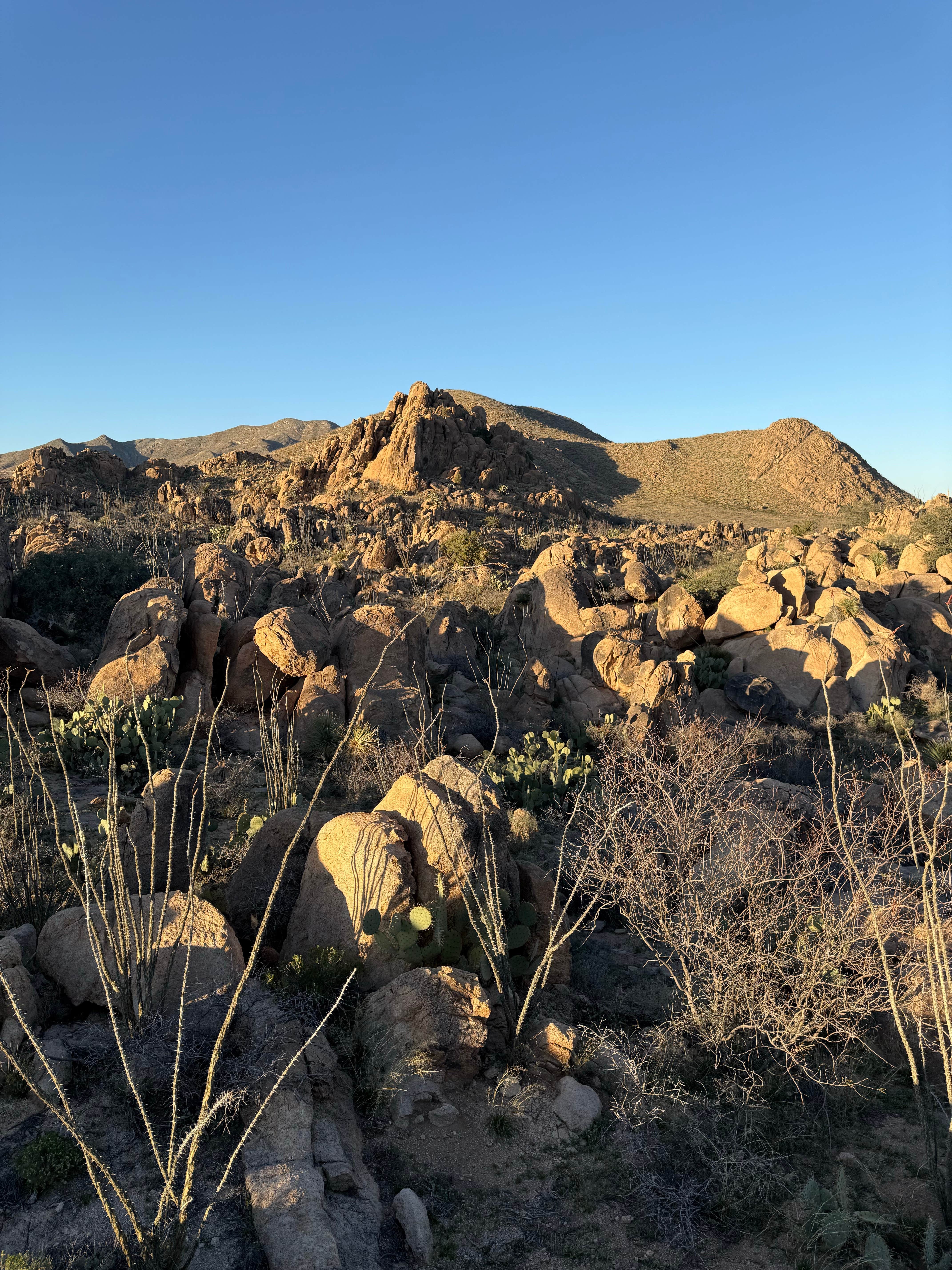 Camper-submitted photo at Granite Gap near Bowie, AZ