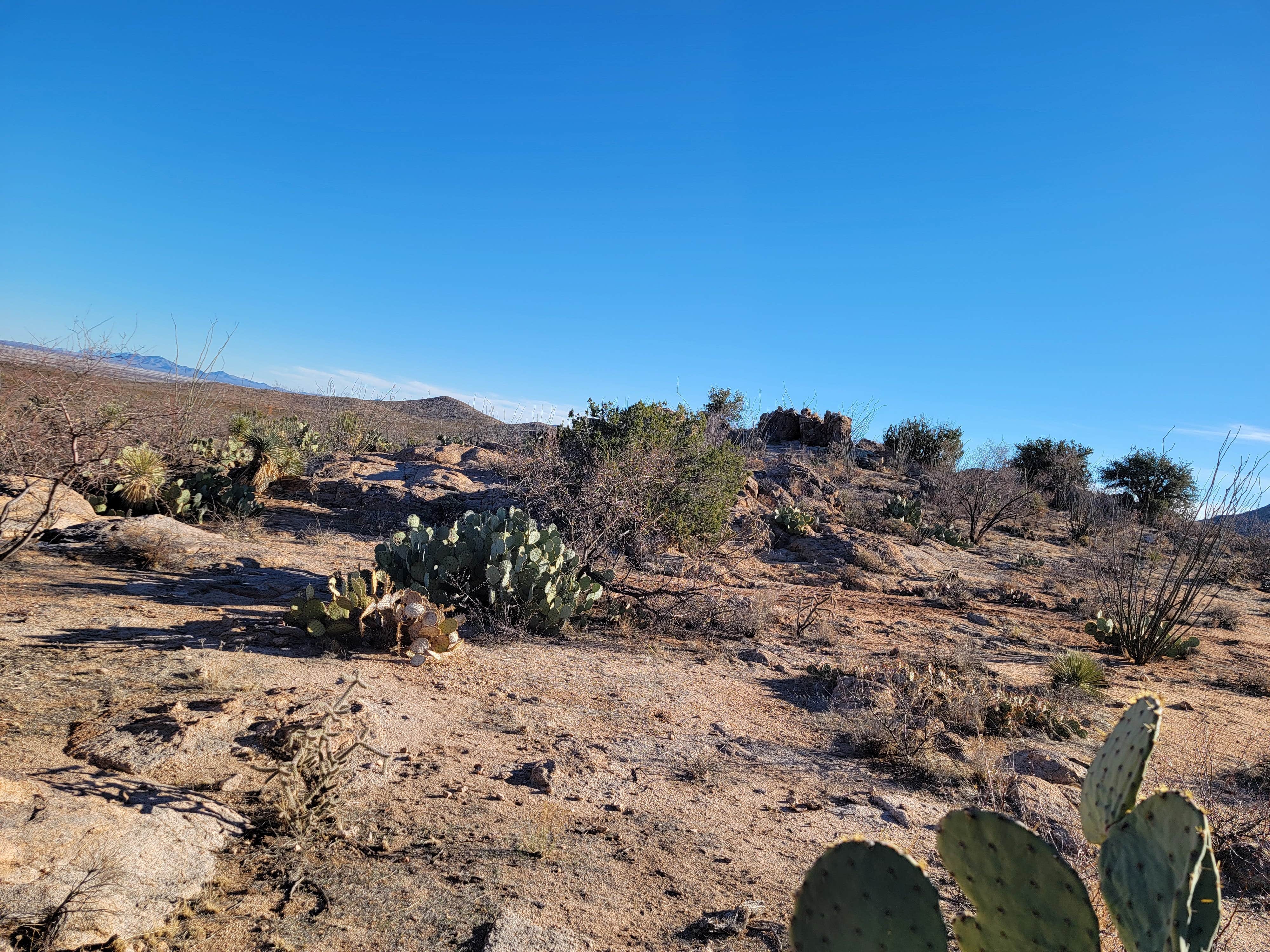 Camper-submitted photo at Granite Gap near Rodeo, NM