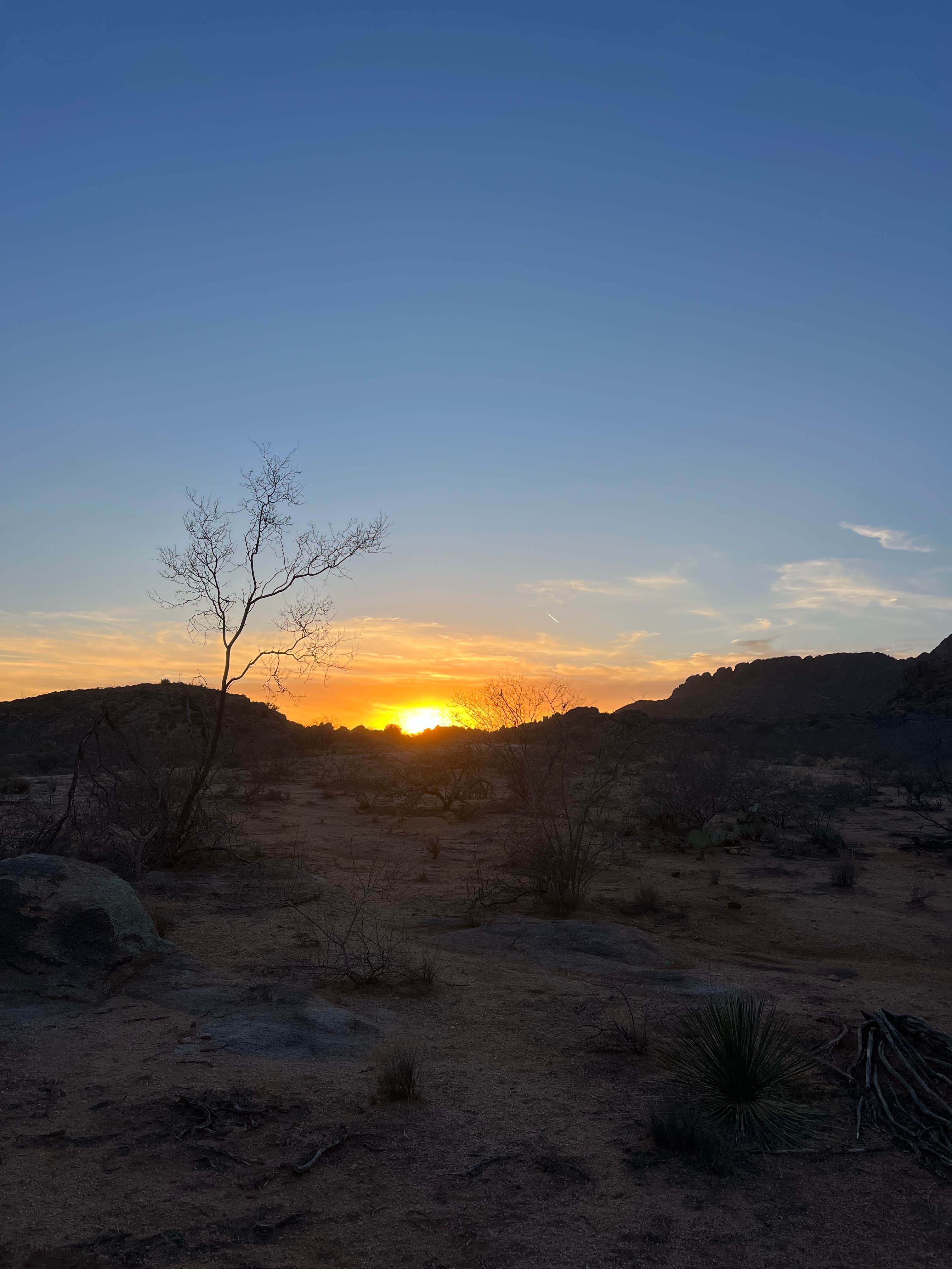 Camper-submitted photo at Granite Gap near Rodeo, NM