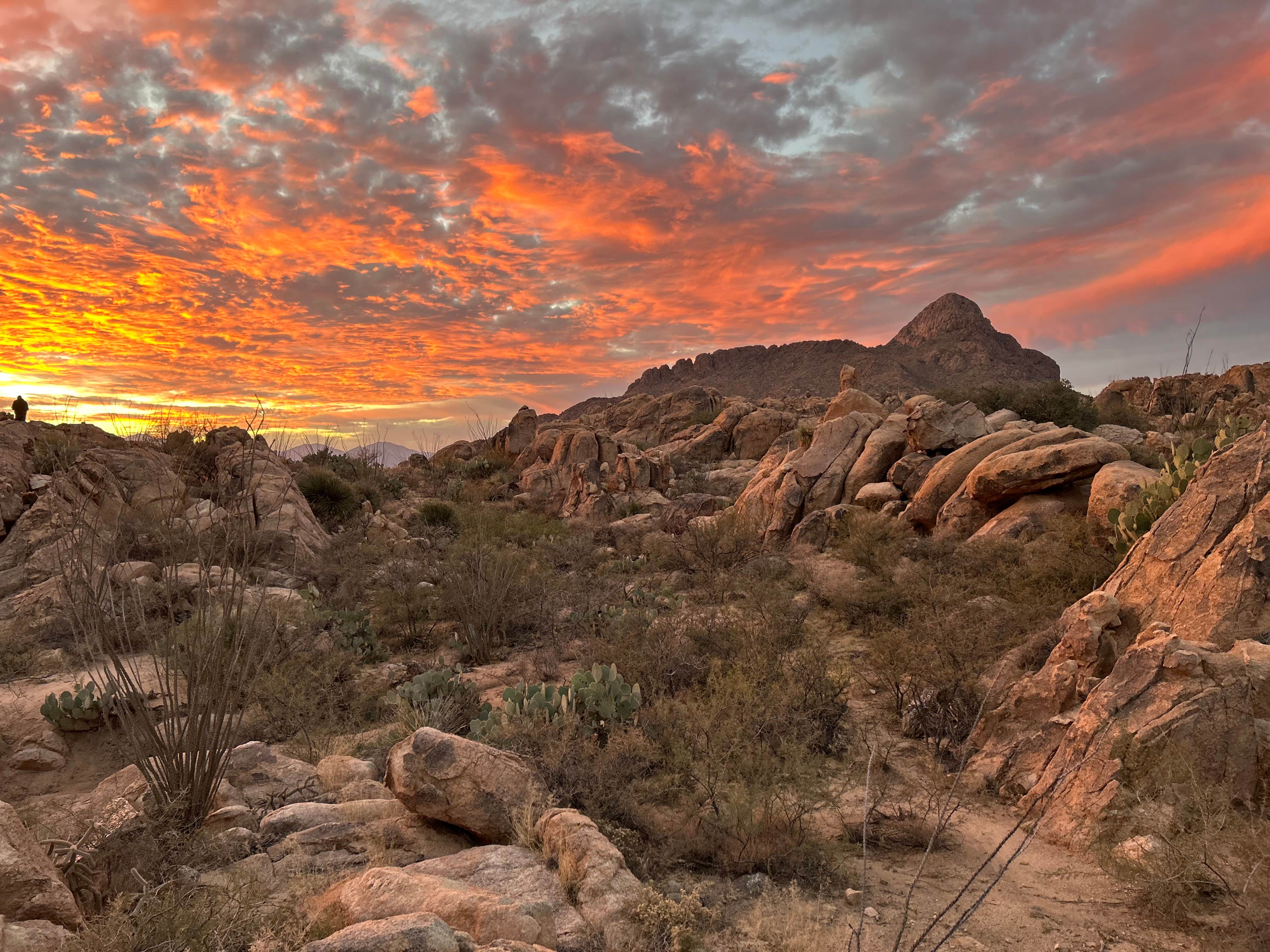 Camper-submitted photo at Granite Gap near Rodeo, NM