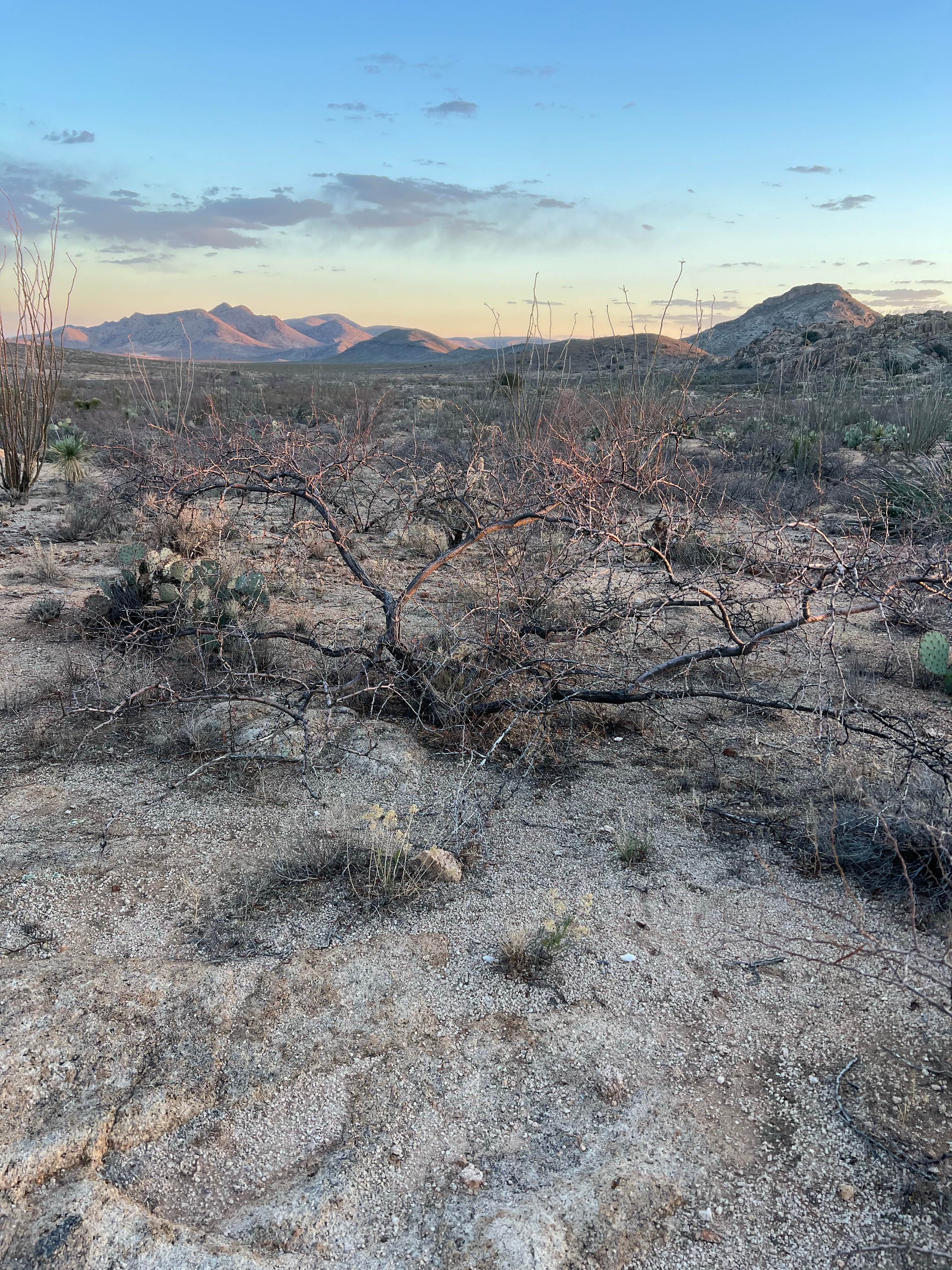Camper-submitted photo at Granite Gap near Rodeo, NM