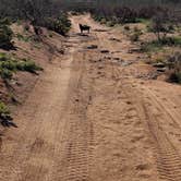 Review photo of Granite Gap by Travis A., March 10, 2026